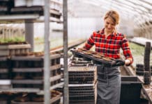 Establishing a  Safety Culture