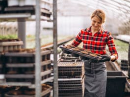 Establishing a Safety Culture