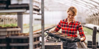 Establishing a Safety Culture