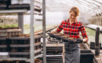 Establishing a Safety Culture