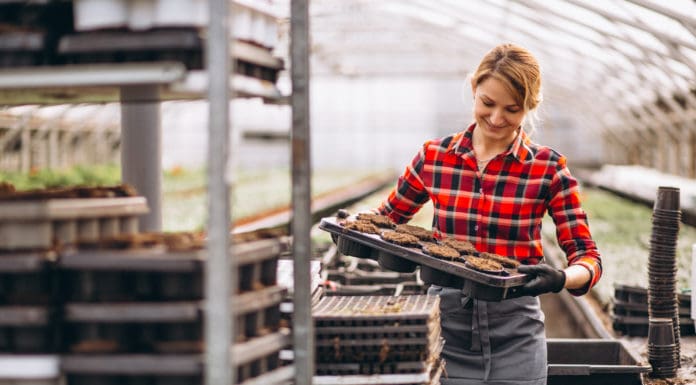 Establishing a Safety Culture