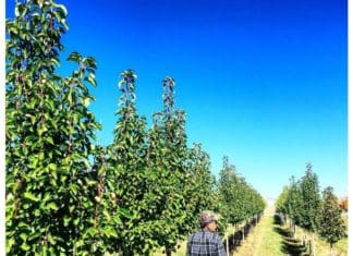 An Expanding Plant Palette for Diversifying Interests