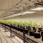 Specialists in Custom, Tunable LED Lighting Systems