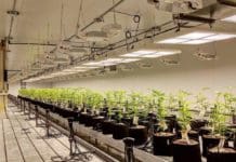 Specialists in Custom, Tunable LED Lighting Systems