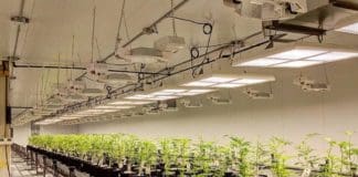 Specialists in Custom, Tunable LED Lighting Systems