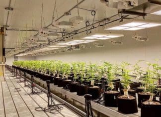 Specialists in Custom, Tunable LED Lighting Systems