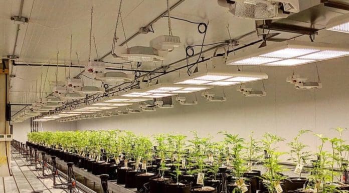 Specialists in Custom, Tunable LED Lighting Systems