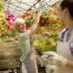 A Sustainable Environment: How to Create an Attractive Setting for Employees Senior and young women working together