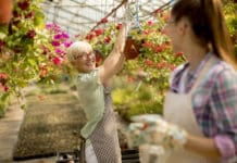 A Sustainable Environment: How to Create an Attractive Setting for Employees Senior and young women working together