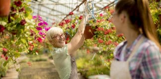 A Sustainable Environment: How to Create an Attractive Setting for Employees Senior and young women working together
