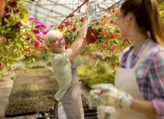 A Sustainable Environment: How to Create an Attractive Setting for Employees Senior and young women working together