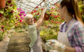A Sustainable Environment: How to Create an Attractive Setting for Employees Senior and young women working together