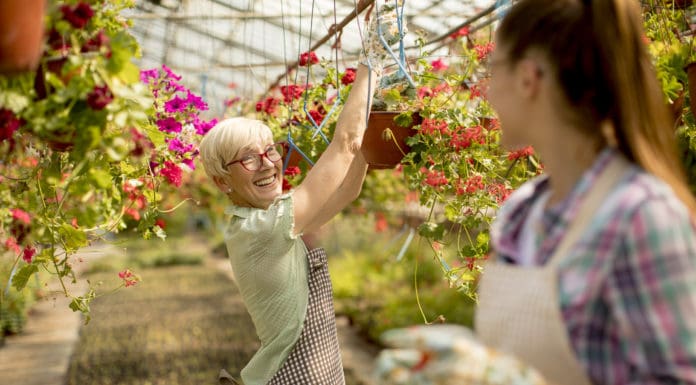 A Sustainable Environment: How to Create an Attractive Setting for Employees Senior and young women working together