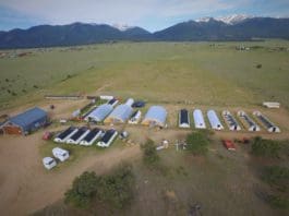 AlpineEco Nursery: High-Quality Plants for Wetland Restoration Alpine Eco Nursery site