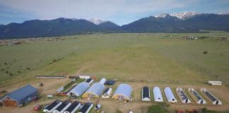 AlpineEco Nursery: High-Quality Plants for Wetland Restoration Alpine Eco Nursery site