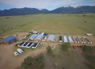 AlpineEco Nursery: High-Quality Plants for Wetland Restoration Alpine Eco Nursery site