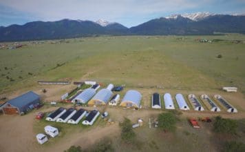 AlpineEco Nursery: High-Quality Plants for Wetland Restoration Alpine Eco Nursery site