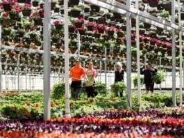 Top 10 Methods for Finding New Hires in the Green Industry