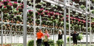 Top 10 Methods for Finding New Hires in the Green Industry