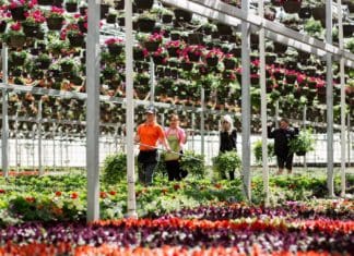 Top 10 Methods for Finding New Hires in the Green Industry