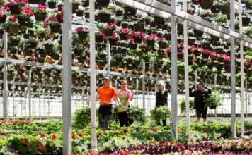 Top 10 Methods for Finding New Hires in the Green Industry