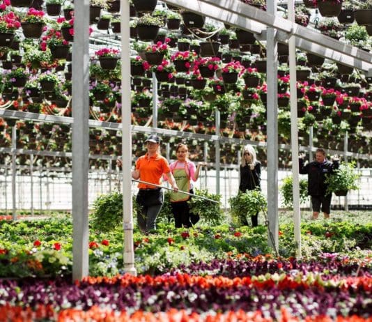 Top 10 Methods for Finding New Hires in the Green Industry