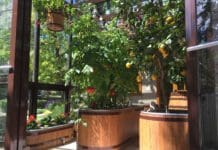 Farm Tub: Attractive, Self-Watering Container Systems