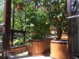 Farm Tub: Attractive, Self-Watering Container Systems