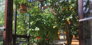 Farm Tub: Attractive, Self-Watering Container Systems