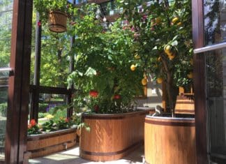 Farm Tub: Attractive, Self-Watering Container Systems