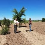 CHREF Awards $165,000 over Five Years Little Valley Nursery