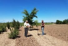 CHREF Awards $165,000 over Five Years Little Valley Nursery