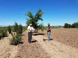 CHREF Awards $165,000 over Five Years Little Valley Nursery