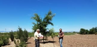 CHREF Awards $165,000 over Five Years Little Valley Nursery