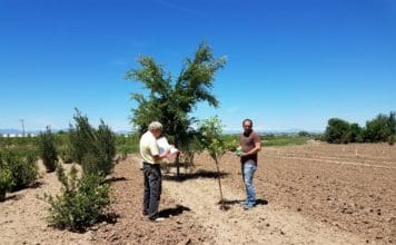 CHREF Awards $165,000 over Five Years Little Valley Nursery