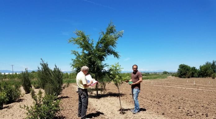 CHREF Awards $165,000 over Five Years Little Valley Nursery