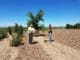 CHREF Awards $165,000 over Five Years Little Valley Nursery