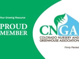 New Members, 2025 Proud Member Badge