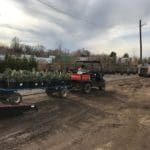 Creative Shipping Solutions Trees of Corrales atv plants
