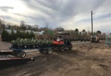 Creative Shipping Solutions Trees of Corrales atv plants