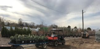 Creative Shipping Solutions Trees of Corrales atv plants