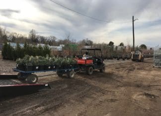 Creative Shipping Solutions Trees of Corrales atv plants