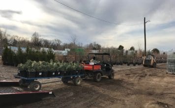 Creative Shipping Solutions Trees of Corrales atv plants