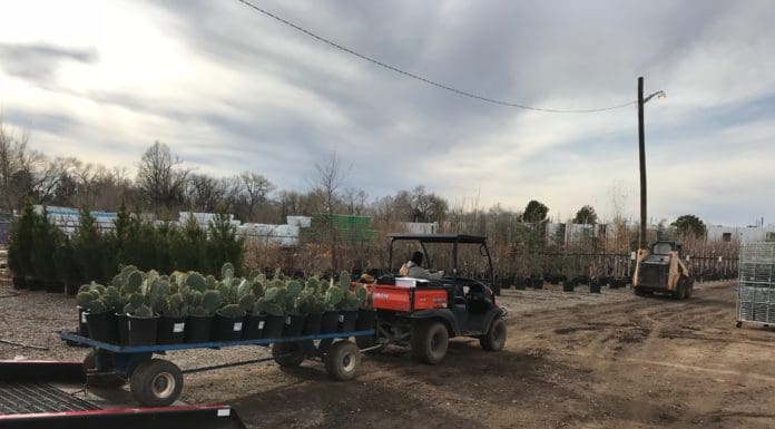 Creative Shipping Solutions Trees of Corrales atv plants