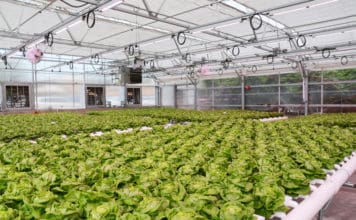 GREENHOUSE BEST MANAGEMENT PRACTICES: Reducing Scale & Biofilms in Greenhouse Irrigation Systems