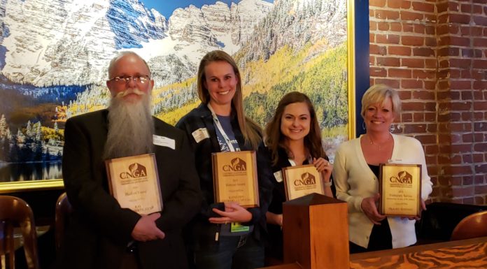 People Who Strengthen CNGA & the Industry – 2020 Award Winners