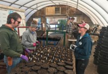 4 Qualities that Attract Millennials to the Horticulture Industry