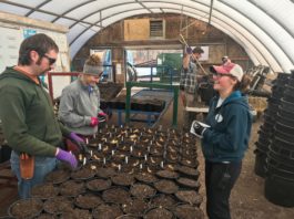 4 Qualities that Attract Millennials to the Horticulture Industry