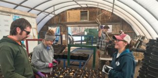 4 Qualities that Attract Millennials to the Horticulture Industry