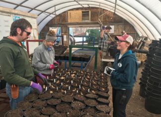 4 Qualities that Attract Millennials to the Horticulture Industry